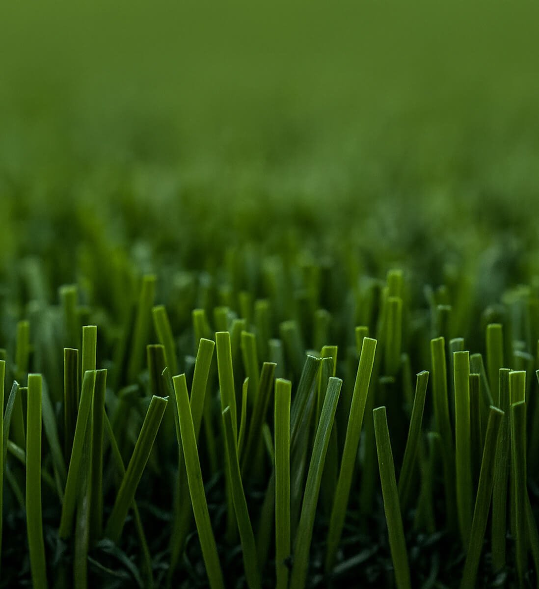 Artificial Grass