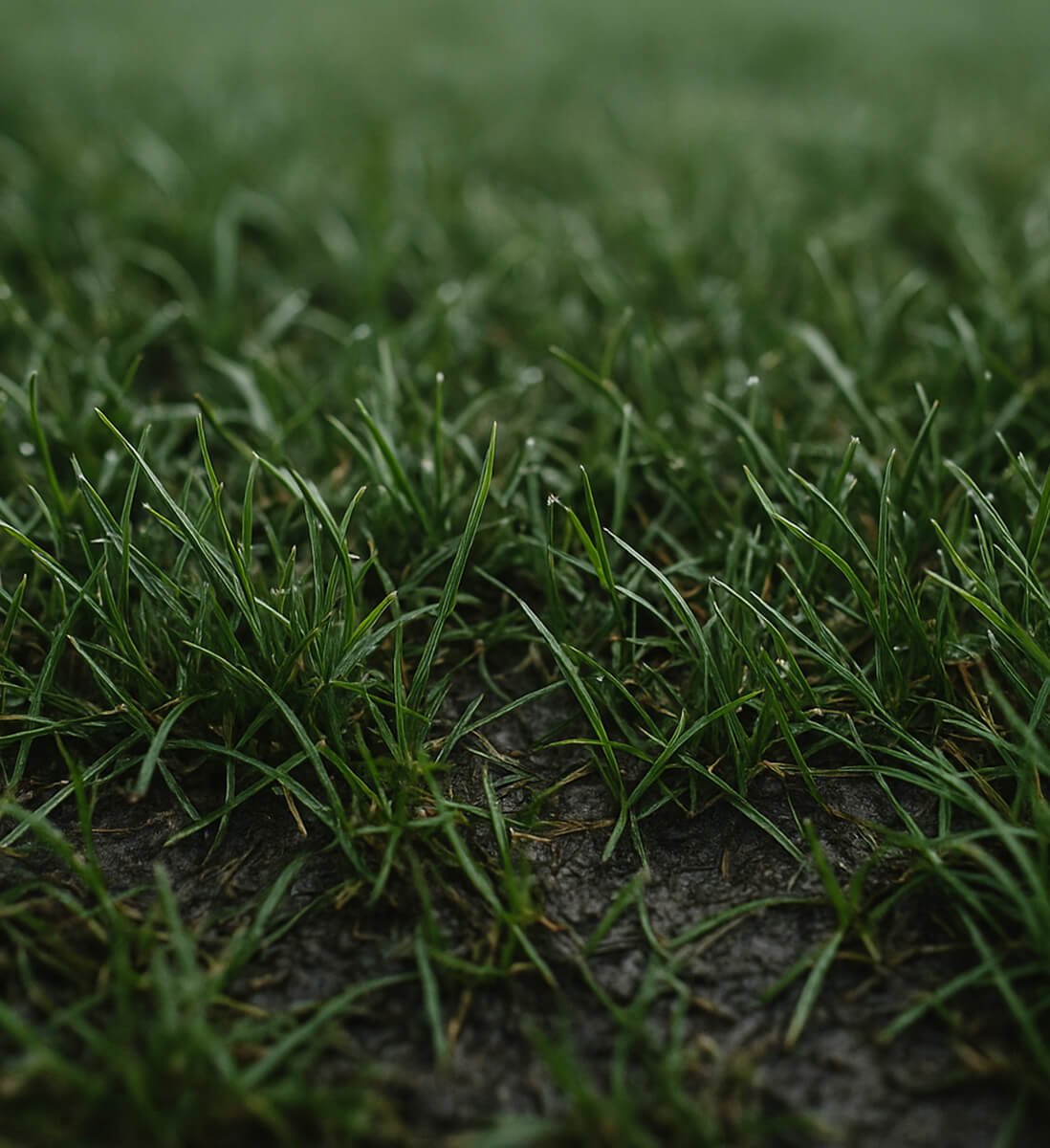 Soft Ground