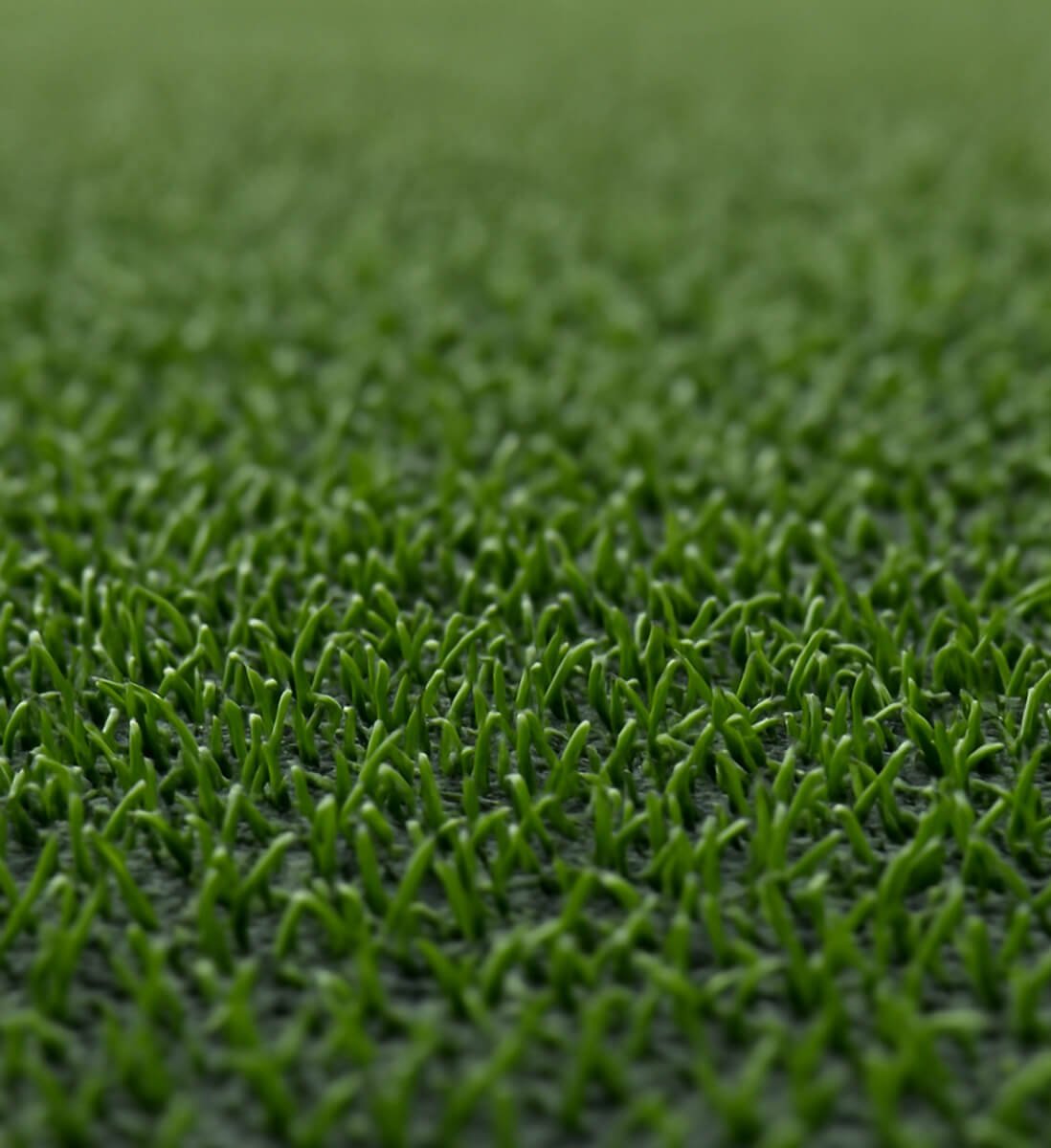 Turf